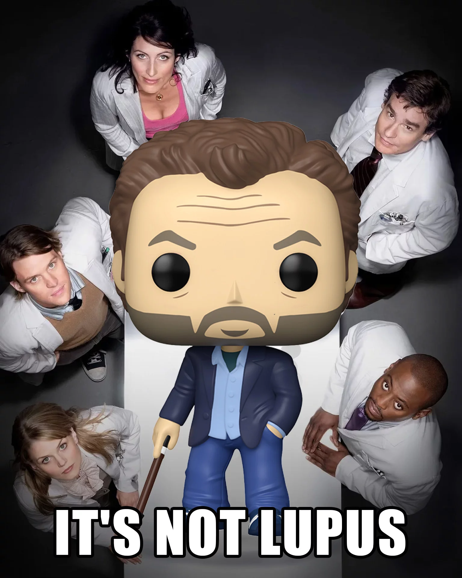 drhouse, itsnotlupus