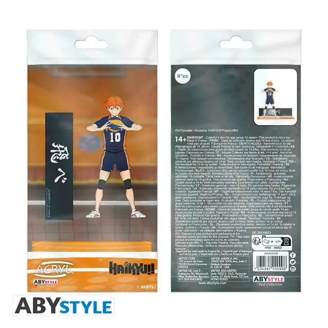 Acrylfigur Haikyu!! - Hinata - Anime