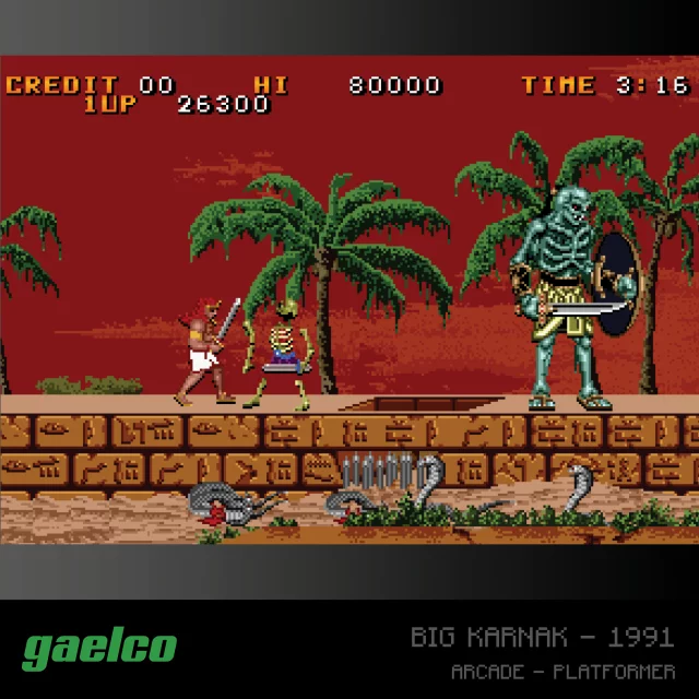 Cartridge für die Retro-Spielkonsole Evercade - Gaelco Arcade 2