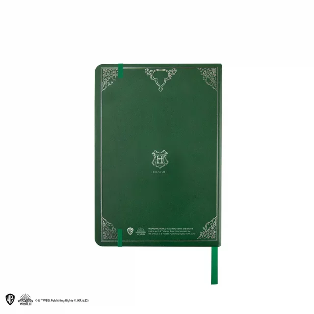 Geschenkset Harry Potter - Slytherin (Notizbuch, Kugelschreiber) - Gläser