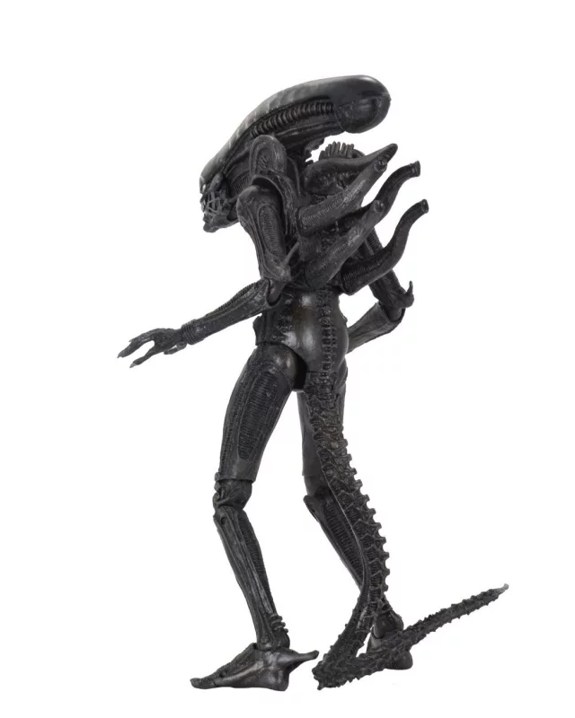 Figur Alien - Big Chap (NECA) - Predator