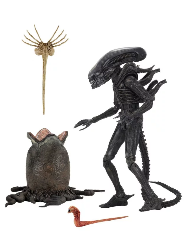 Figur Alien - Big Chap (NECA) - Predator