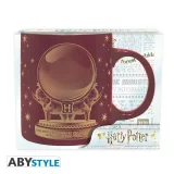 Hrnek Harry Potter - Hogwarts Legacy dupl