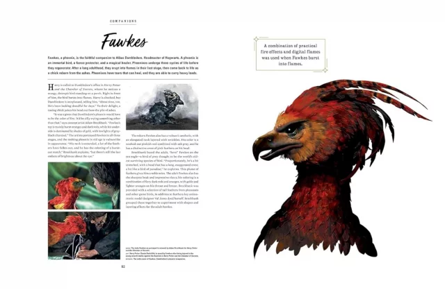 Buch Harry Potter - The Creatures of the Wizarding World ENG - Spielführer