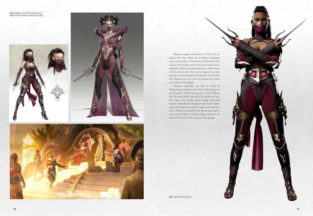 Buch Mortal Kombat: Flawless Victory - A Visual History of the Iconic Series ENG - Artbook
