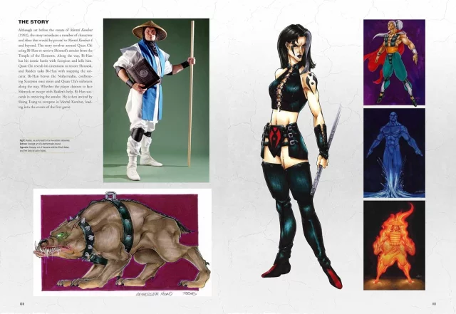 Buch Mortal Kombat: Flawless Victory - A Visual History of the Iconic Series ENG - Artbook