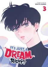 Komiks It's Just a Dream... Right?! Vol.2 ENG dupl
