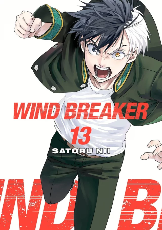 Comic Wind Breaker 13 ENG - Manga