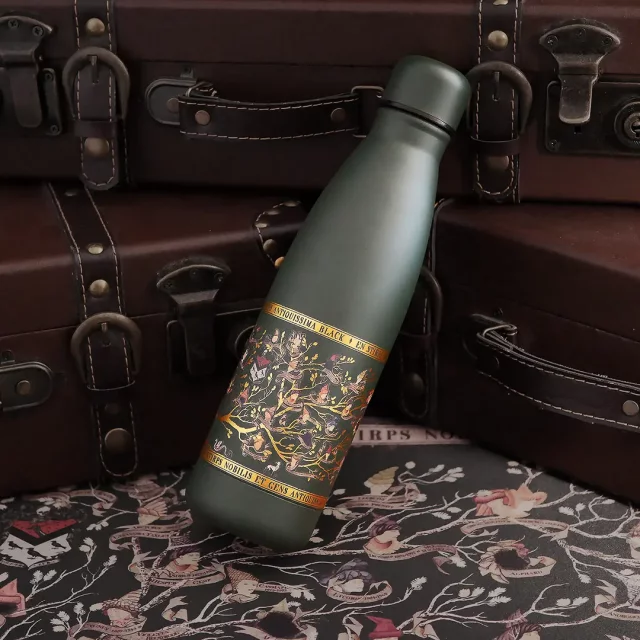 Trinkflasche Harry Potter - Black Family - Tassen