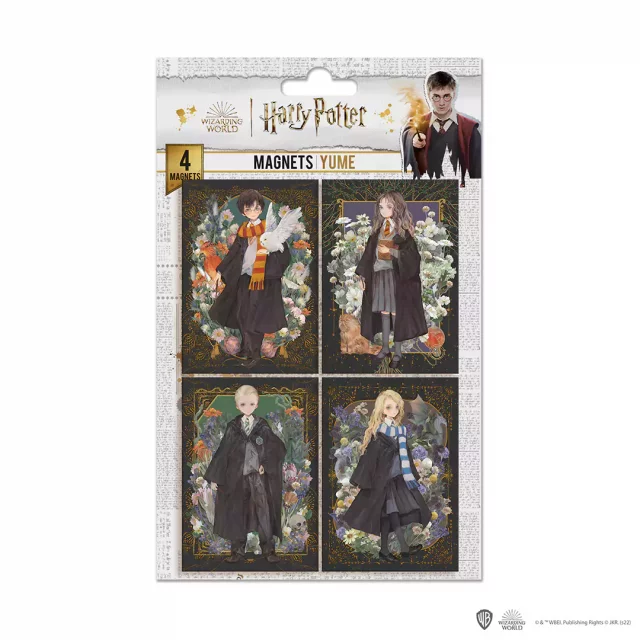 Magnete Harry Potter - Portraits (4 Stck) - Magnete