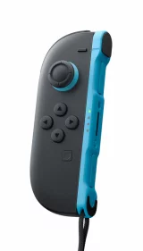 Ovladač Joy-Con (pravý) - Grey dupl