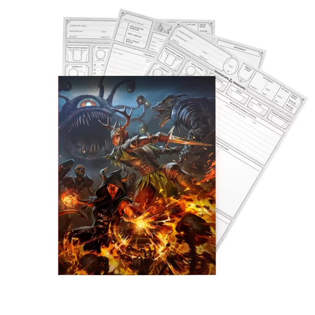 Ordner Dungeons & Dragons - Character Sheets (2024) - Spielanleitung