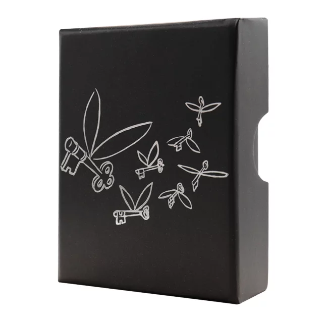 Anhänger Harry Potter - Flying Key Limited Edition - Anhänger
