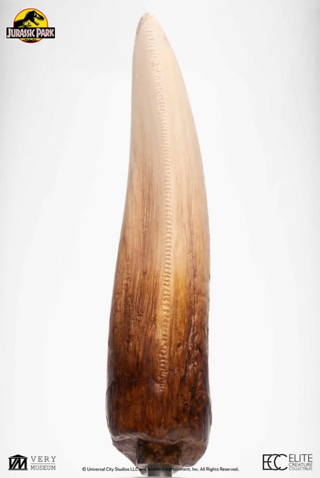 Replik Jurassic Park - T-Rex Tooth (27 cm) - Figuren