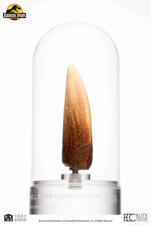 Replik Jurassic Park - T-Rex Tooth (27 cm) - Figuren