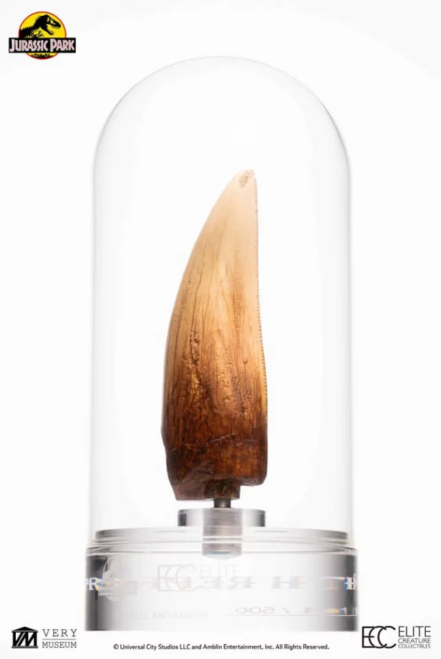 Replik Jurassic Park - T-Rex Tooth (27 cm) - Figuren