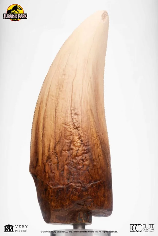 Replik Jurassic Park - T-Rex Tooth (27 cm) - Figuren