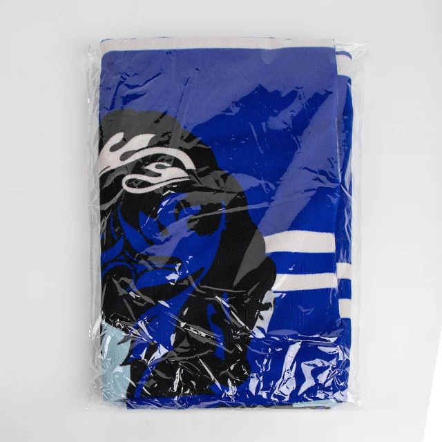 Handtuch Harry Potter - Ravenclaw
