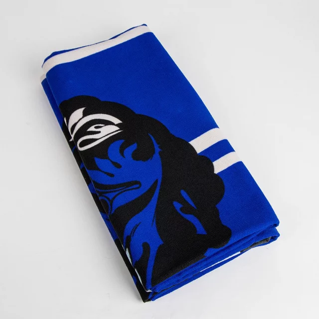 Handtuch Harry Potter - Ravenclaw