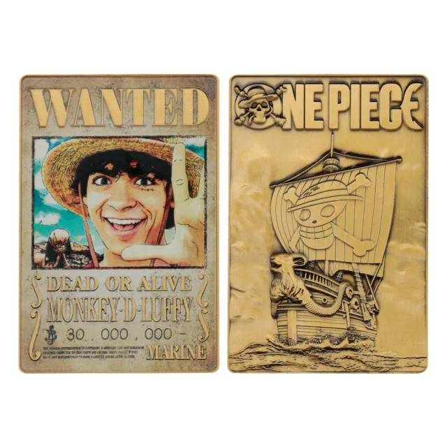 Sammlerplakette One Piece - Luffy Wanted Poster (Netflix) - Münzen