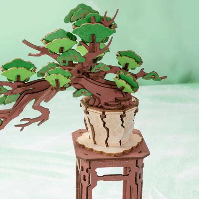 Bausatz- Evergreen Pine Bonsai (aus Holz) - Aus Holz