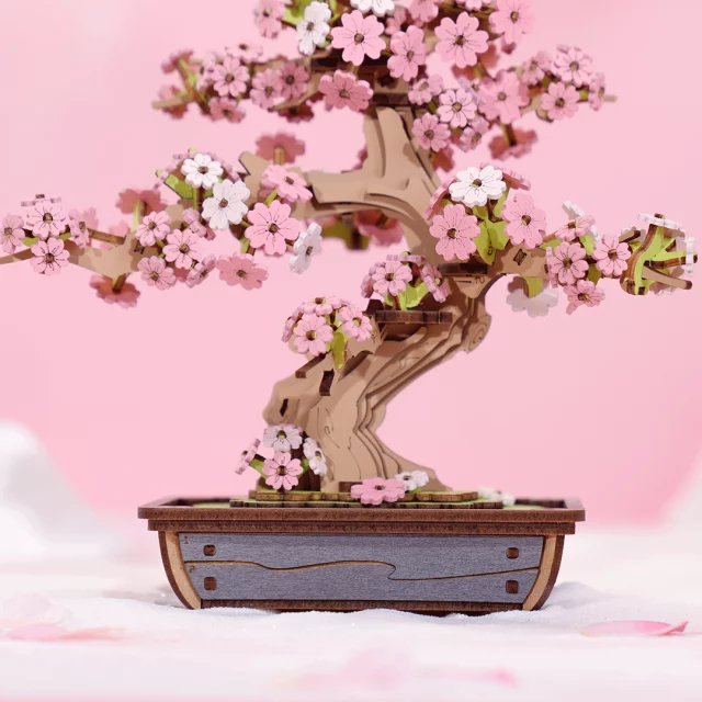 Bausatz - Sakura Bonsai (Holz) - Comics