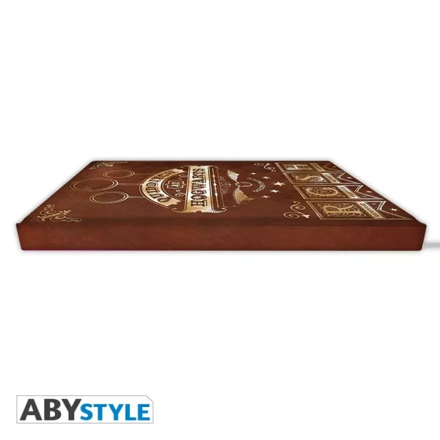 Notizbuch Harry Potter - Quidditch