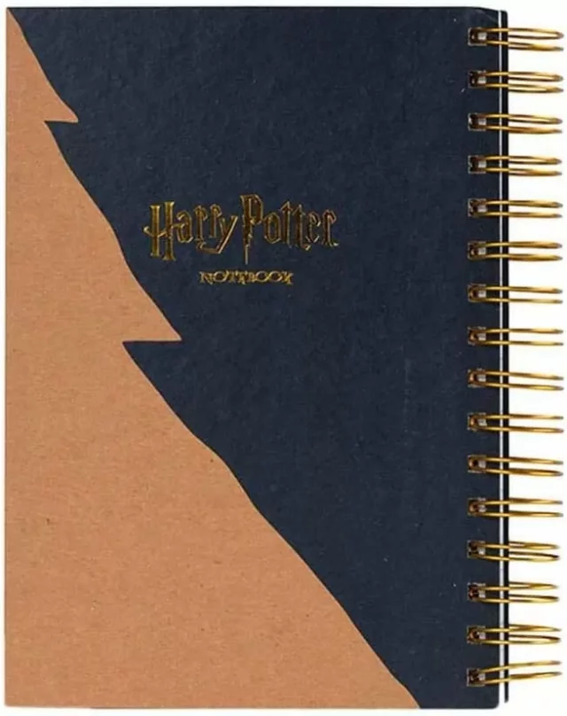 Notizbuch Harry Potter - Trouble Finds Me