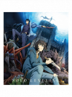 Decke Solo Leveling - Sung Jinwoo