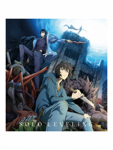 Decke Solo Leveling - Sung Jinwoo