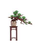 Bausatz- Evergreen Pine Bonsai (aus Holz)