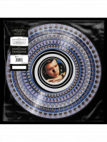 Album Rick Astley - Never Gonna Give You Up auf LP (zoetrope)