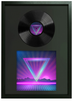 Rahmen für Sammler-LPs