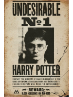 Poster Harry Potter - Undesirable No 1