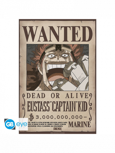 Poster Piece - Wanted Kid Wano