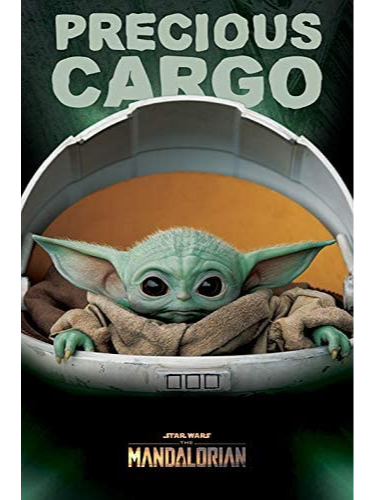Poster Star Wars - Precious Cargo
