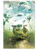 Poster Star Wars: The Book of Boba Fett - Grogu Training