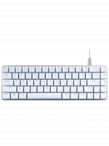 Gaming-Tastatur ASUS ROG FALCHION ACE White (NX RED / PBT ) - US (PC)