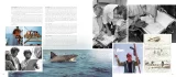 Buch Jaws: Memories from Martha's Vineyard: Revised & Updated Edition ENG