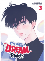 Comic It's Just a Dream... Right?! Vol.3 ENG