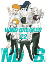 Comic Wind Breaker 22 ENG