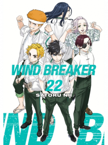 Comic Wind Breaker 22 ENG