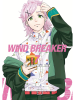 Comics Wind Breaker 7 ENG