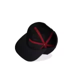Baseballkappe Diablo IV - Alchemist - Snapback-Cap