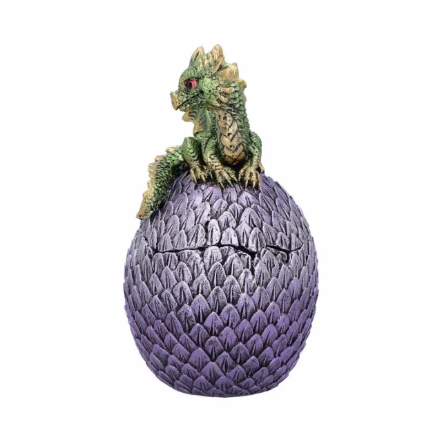 Dose Dragonling Grün (Nemesis Now) - Nemesis Now