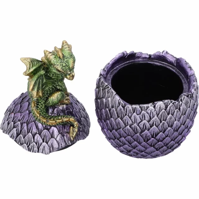 Dose Dragonling Grün (Nemesis Now) - Figuren