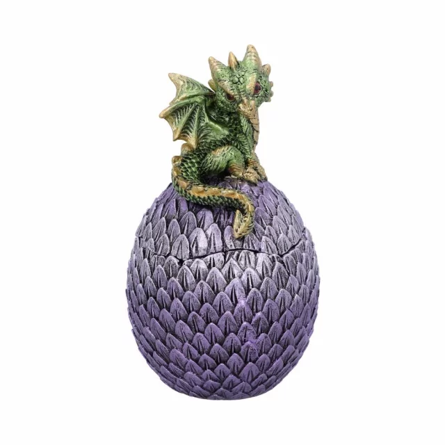 Dose Dragonling Grün (Nemesis Now) - Küchenzubehör