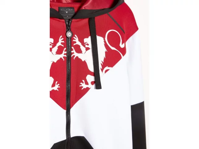 Hoodie Destiny 2 - Titan