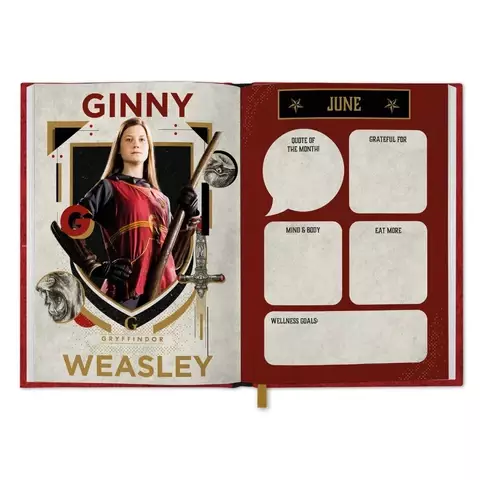 Geschenkset Harry Potter - 25th Anniversary (Kalender 2027, Notizbuch, Kugelschreiber)