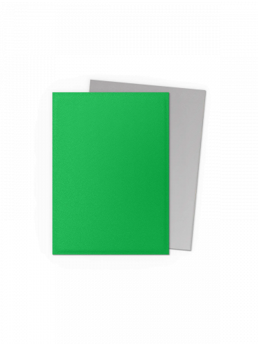 Schutzhüllen für Karten Dragon Shield - Matte Dual Sleeves Apple Green & Silver (100 Stk.)